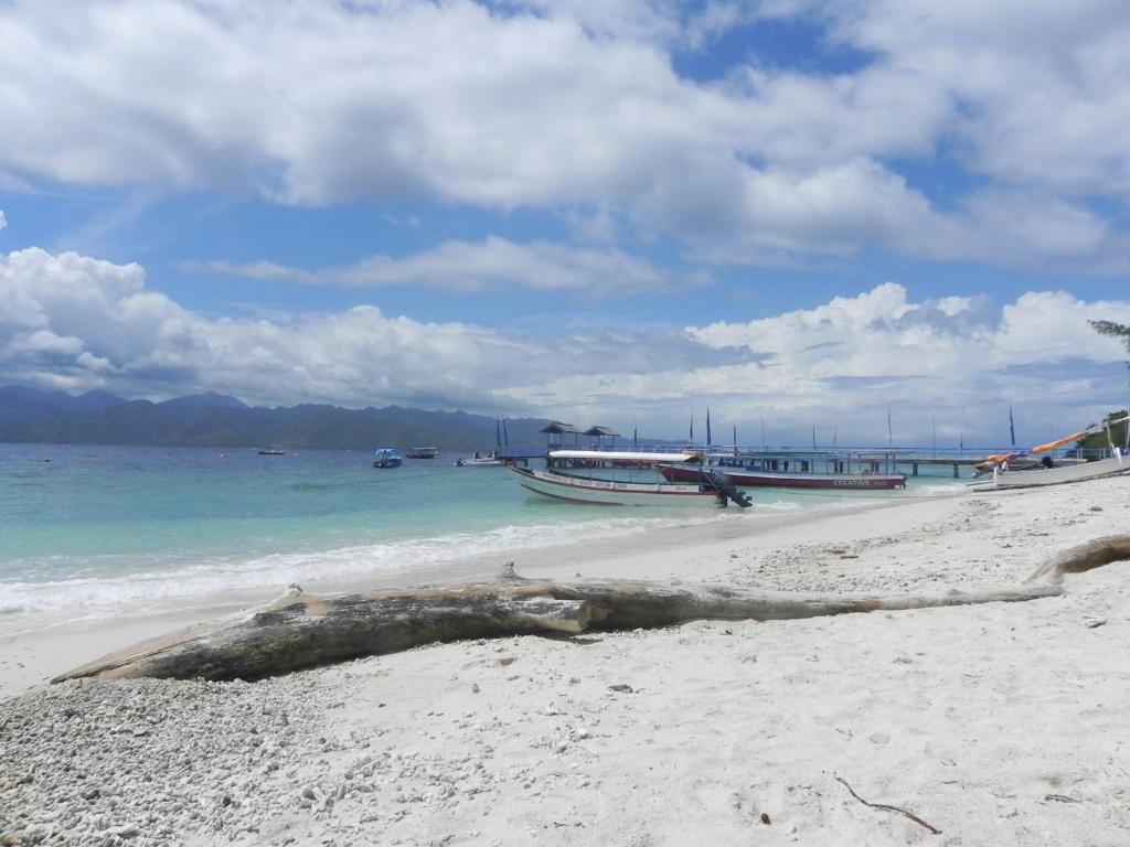 Kelapa Kecil Hotel Gili Trawangan Buitenkant foto